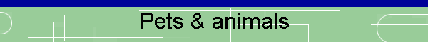 Pets & animals